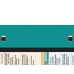 WhiteCoat Clipboard® - Teal Ovarian/Adnexal Sonography Edition